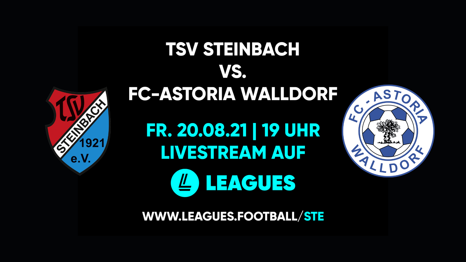 TSV Steinbach Haiger bietet Livestream von jedem Liga-Heimspiel an TSV Steinbach Haiger
